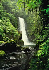 Costa Rica vacation packages